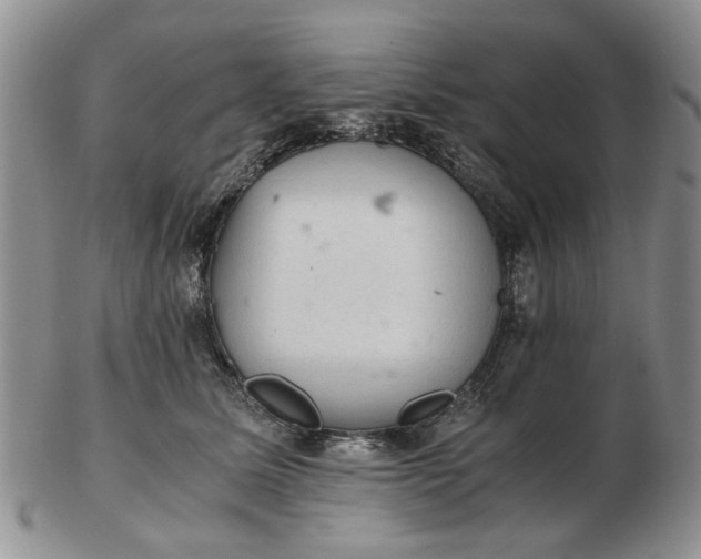 X0000103160611200809051701