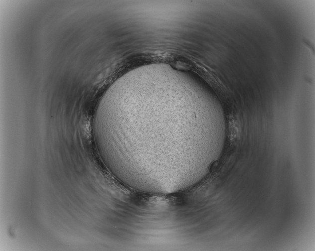 X0000103160613200809051701