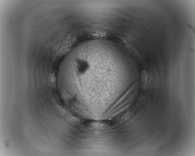 X0000103160614200809051701