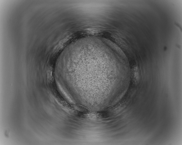 X0000103160615200809051701