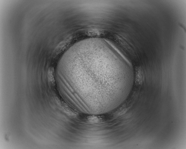 X0000103160616200809051701