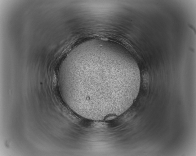 X0000103160617200809051701