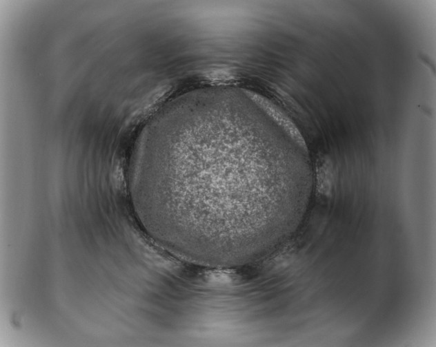 X0000103160618200809051701