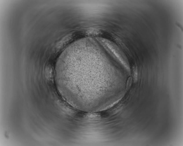 X0000103160619200809051701