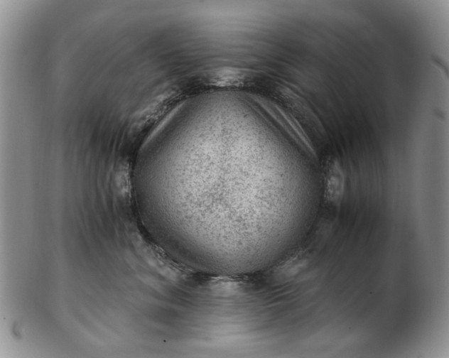 X0000103160620200809051701