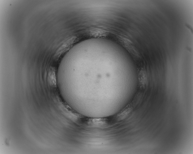 X0000103160622200809051701