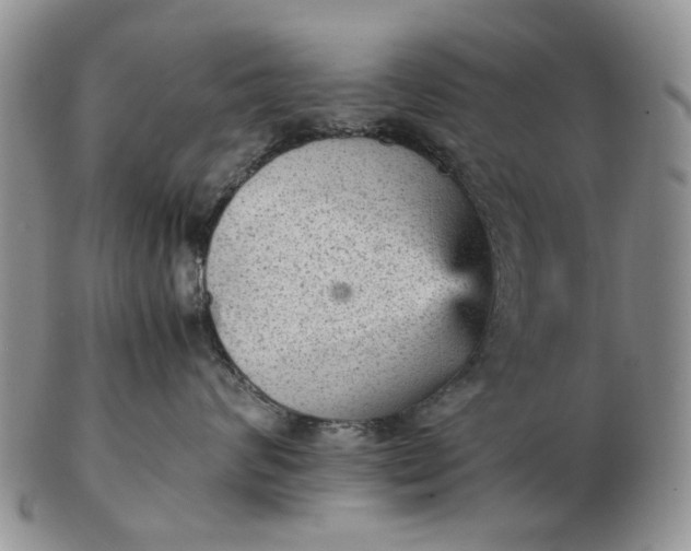 X0000103160624200809051701