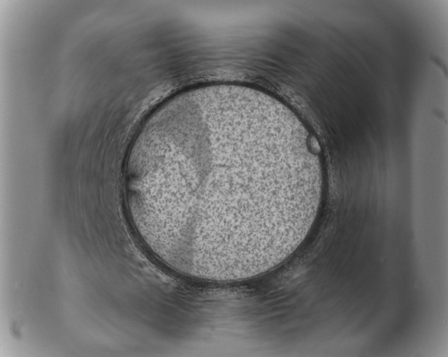 X0000103160625200809051700