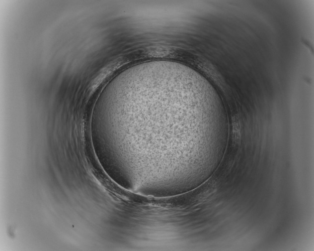 X0000103160626200809051700