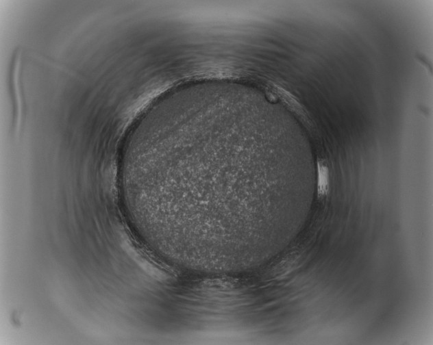 X0000103160627200809051700