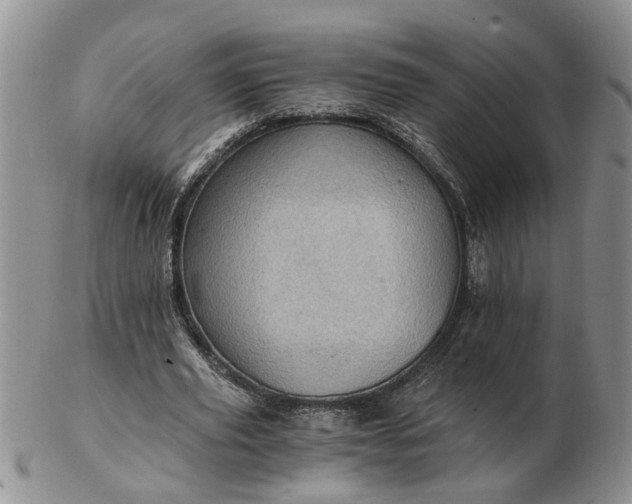 X0000103160629200809051700