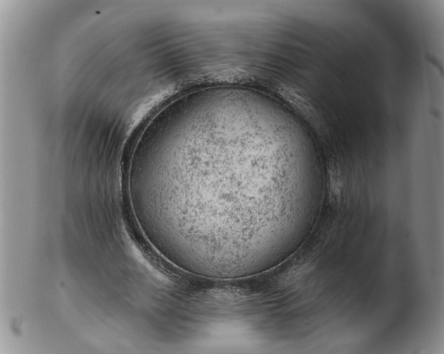 X0000103160630200809051700