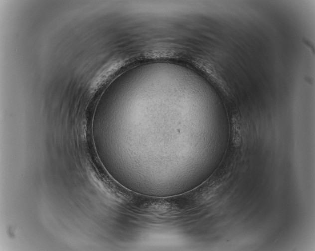 X0000103160631200809051700