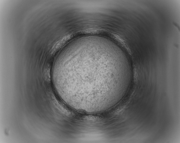 X0000103160633200809051700