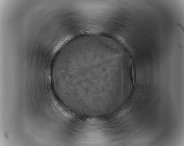 X0000103160634200809051700