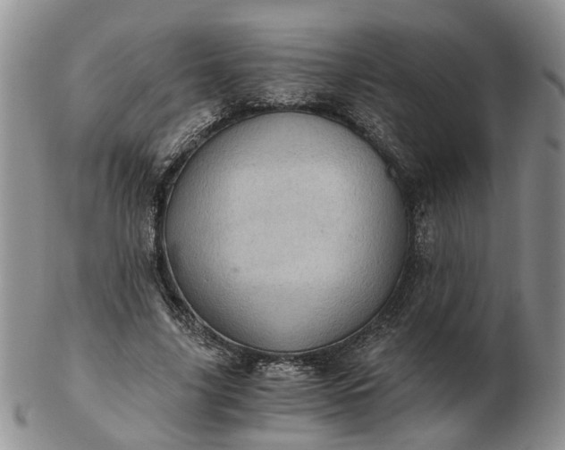 X0000103160635200809051700