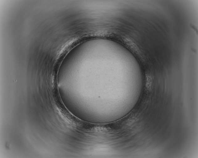 X0000103160636200809051700