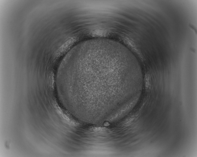 X0000103160637200809051700