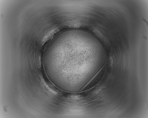 X0000103160638200809051700