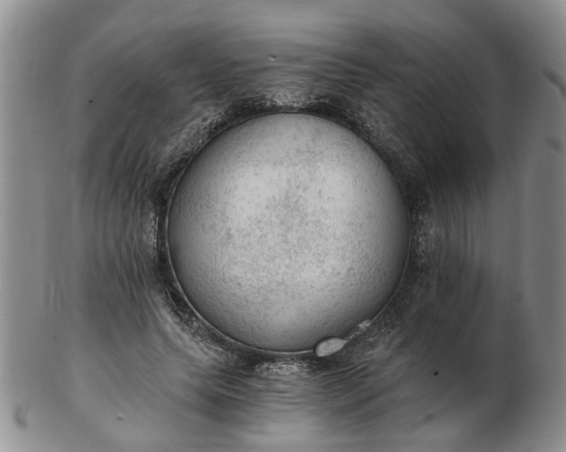 X0000103160639200809051700