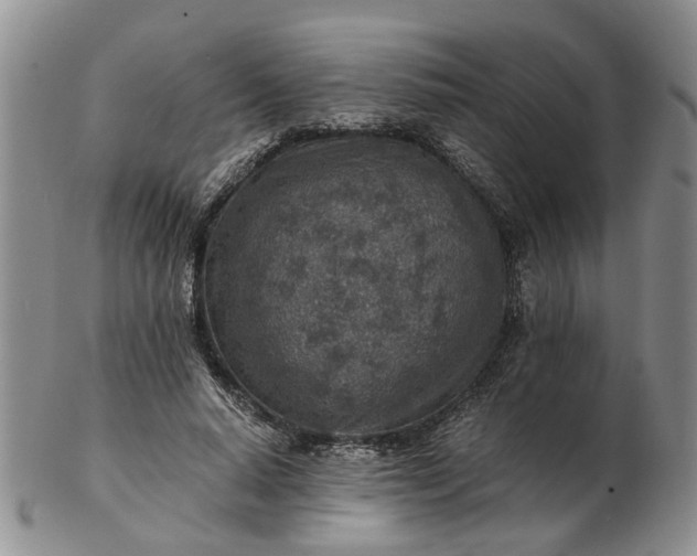 X0000103160640200809051700