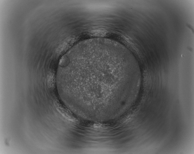 X0000103160641200809051700