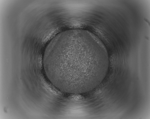 X0000103160642200809051700