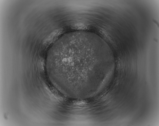 X0000103160643200809051700