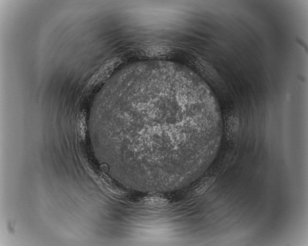 X0000103160644200809051700