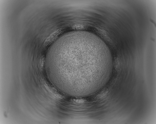 X0000103160645200809051700