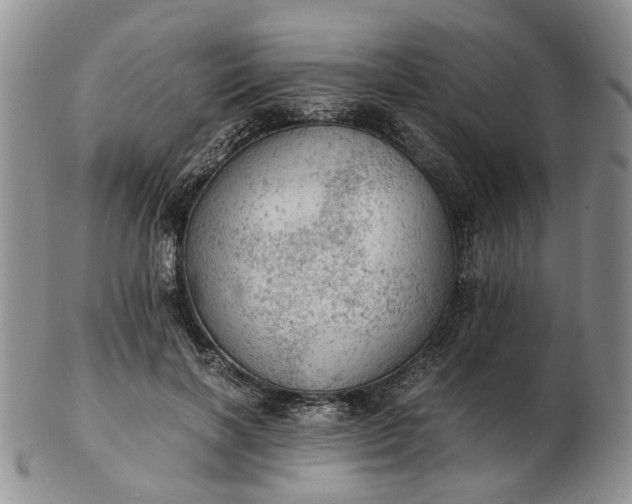 X0000103160646200809051700