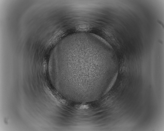 X0000103160647200809051700