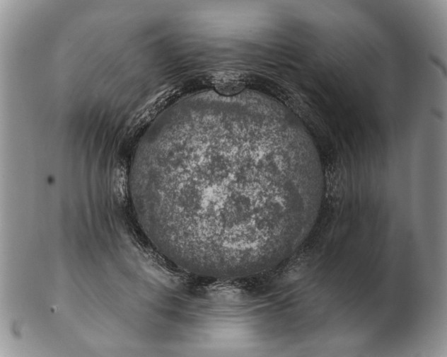 X0000103160648200809051700