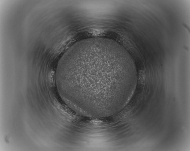 X0000103160650200809051700