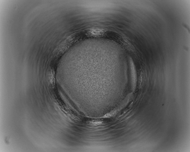 X0000103160651200809051700