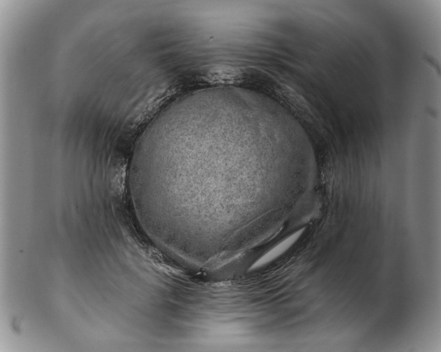 X0000103160652200809051700