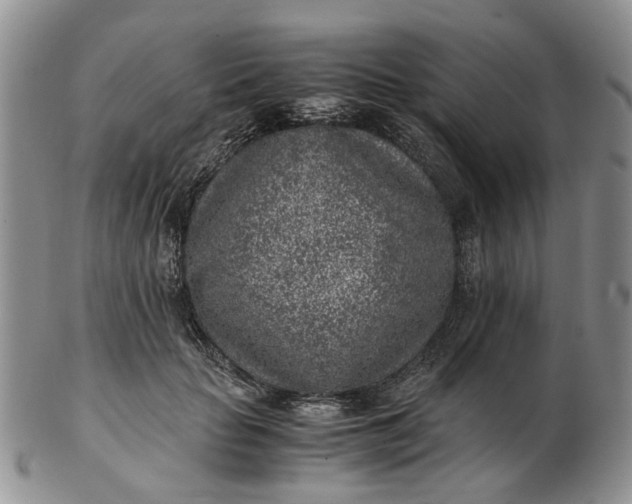 X0000103160653200809051700