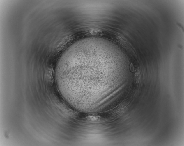 X0000103160654200809051700