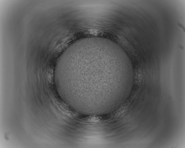 X0000103160656200809051700