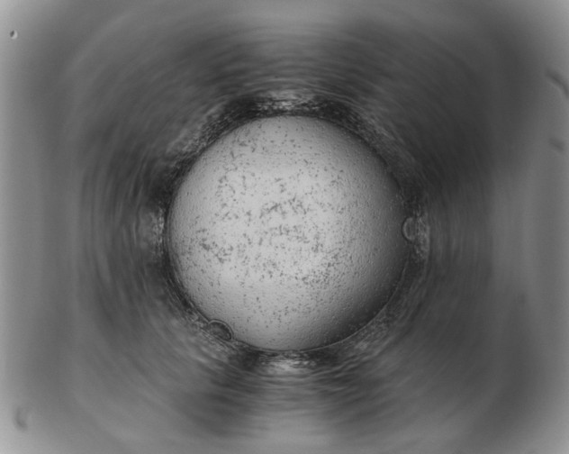 X0000103160657200809051700