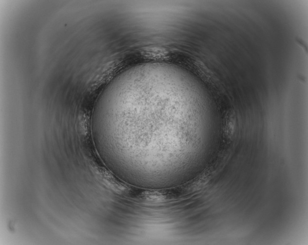 X0000103160658200809051700