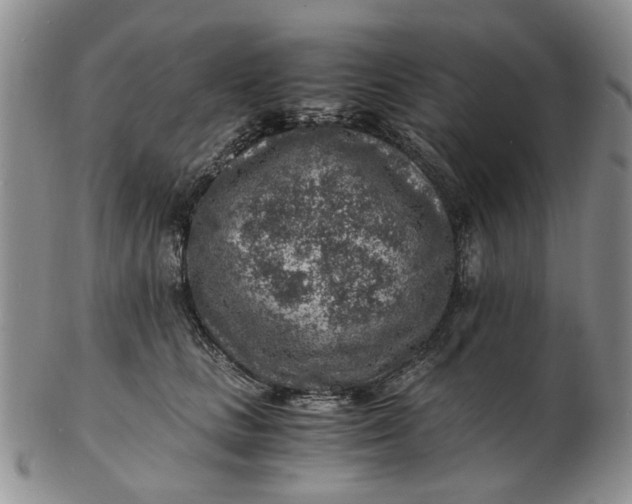 X0000103160661200809051700