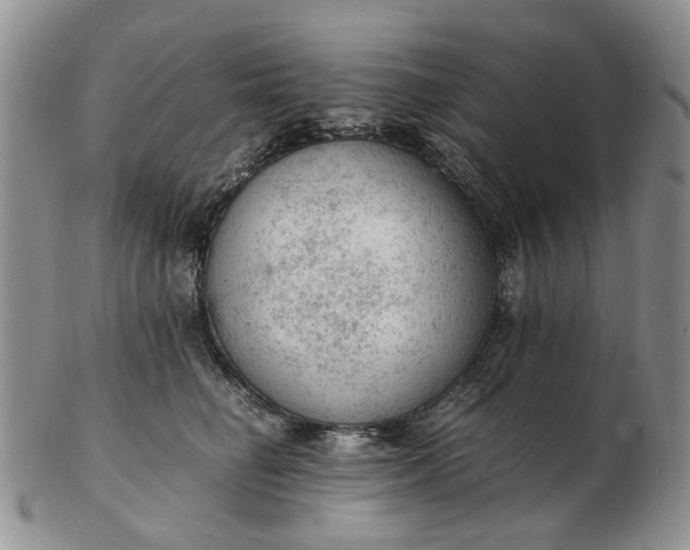 X0000103160662200809051700