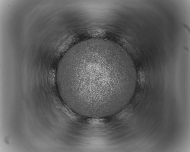 X0000103160664200809051700