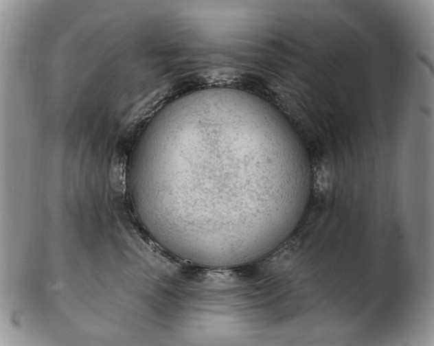 X0000103160666200809051700