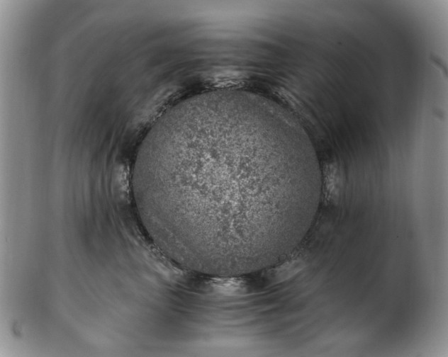 X0000103160667200809051700