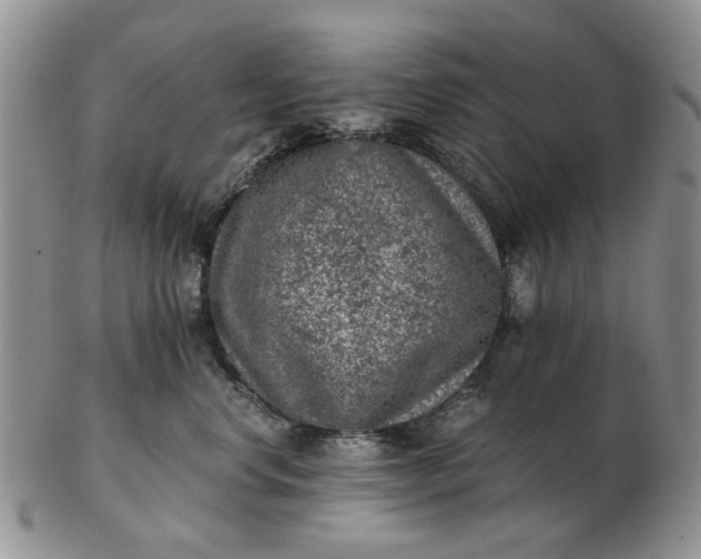 X0000103160668200809051700