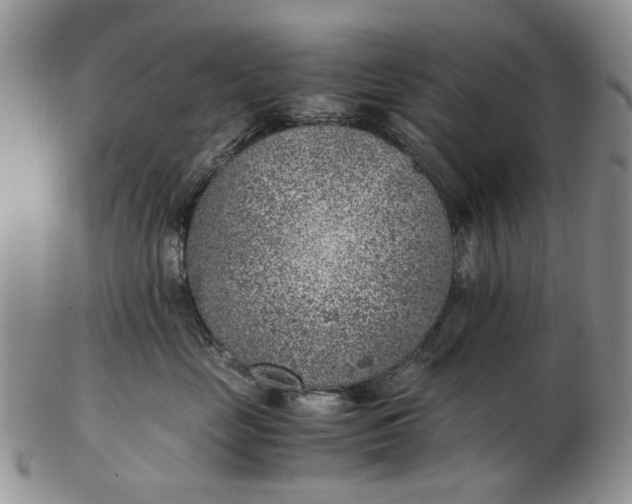 X0000103160669200809051700