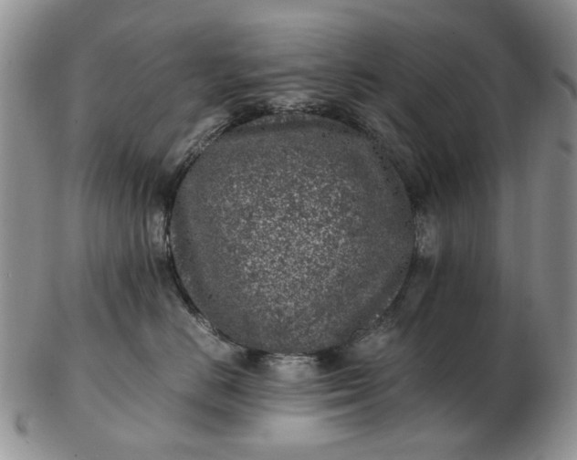 X0000103160670200809051700