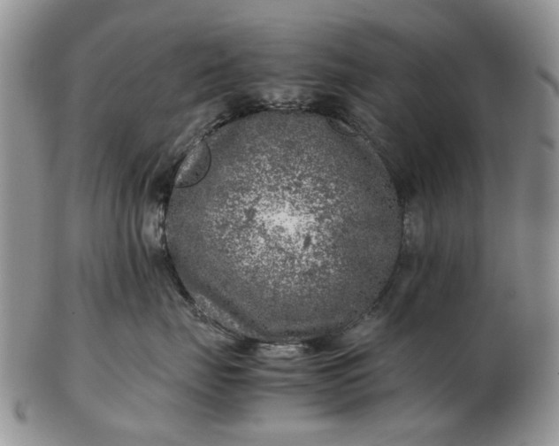 X0000103160671200809051701